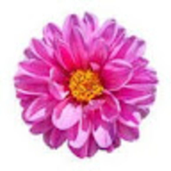 Meet your Posher, Michal - Picture 1 of 1